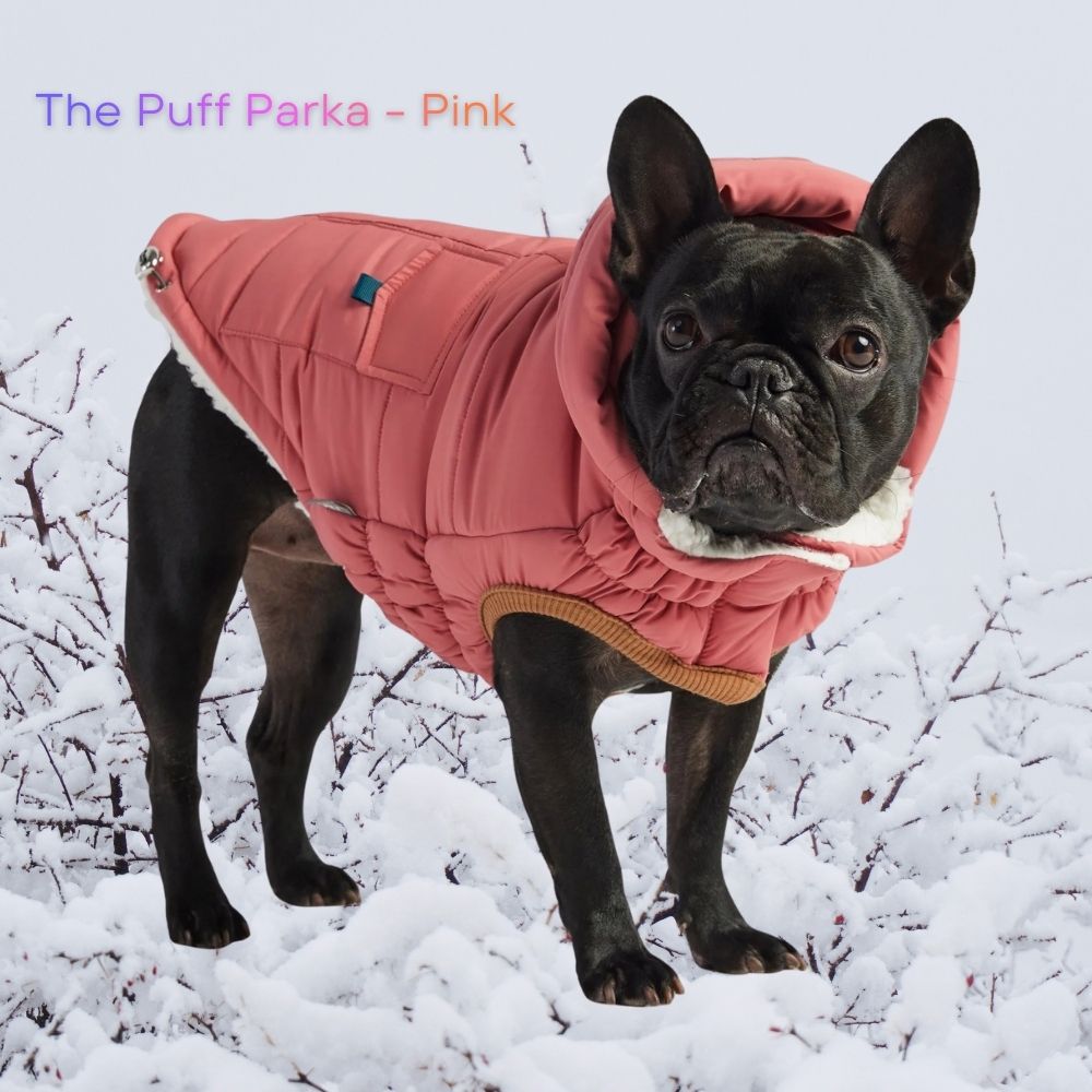 The Puff Parka - Pink