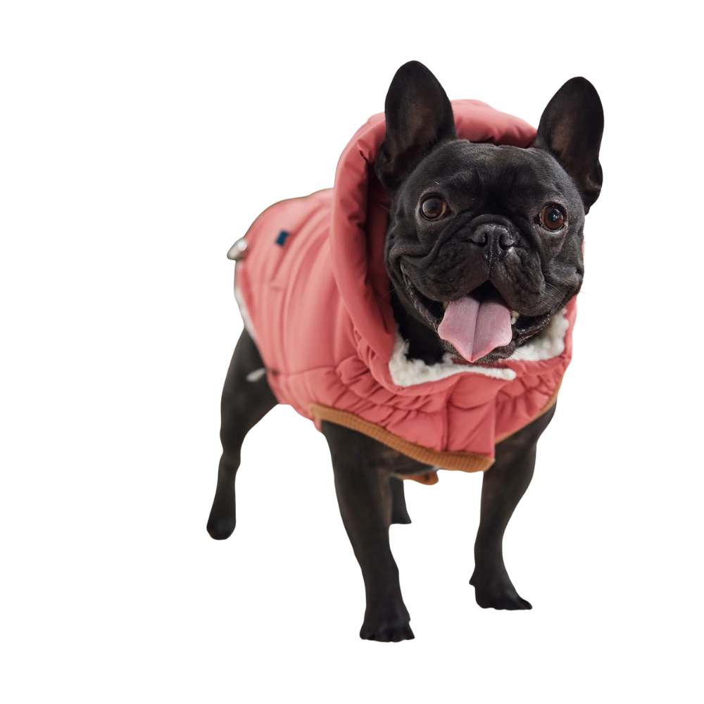 The Puff Parka - Pink