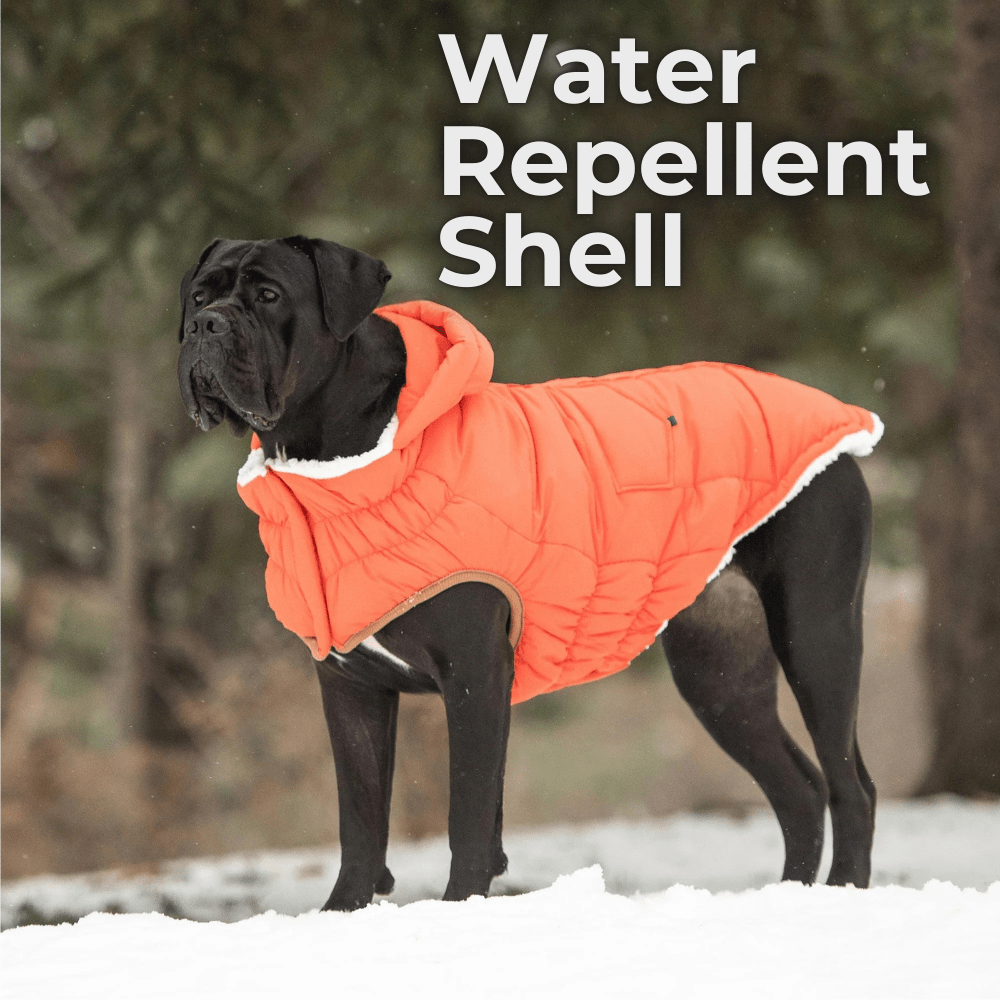 GF PET Super Puff Parka – The Winter Coat EVERY Dog Parent Wants - WFP Store