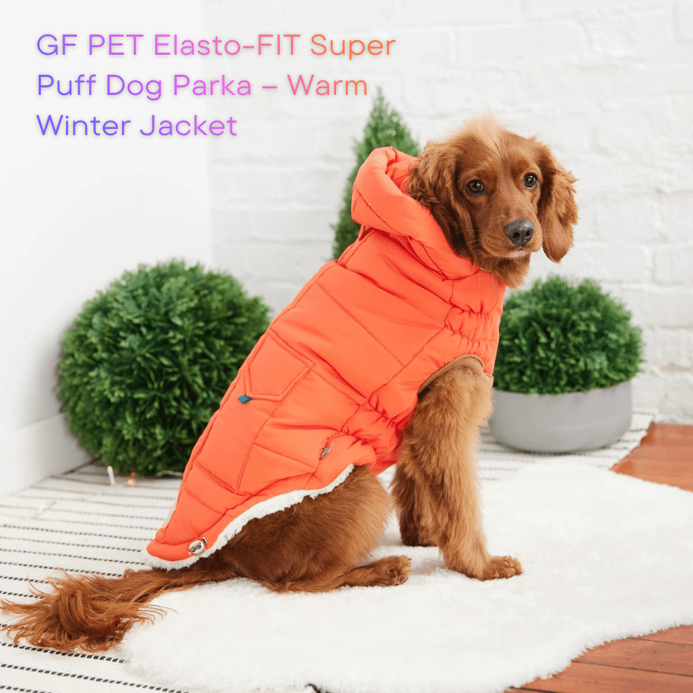 GF PET Super Puff Parka – The Winter Coat EVERY Dog Parent Wants - WFP Store