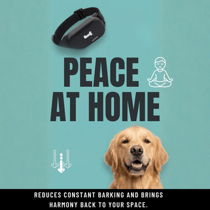 Humane No - Shock Bark Training Collar – Sound & Vibration | Large (13–22”) - WFP Store