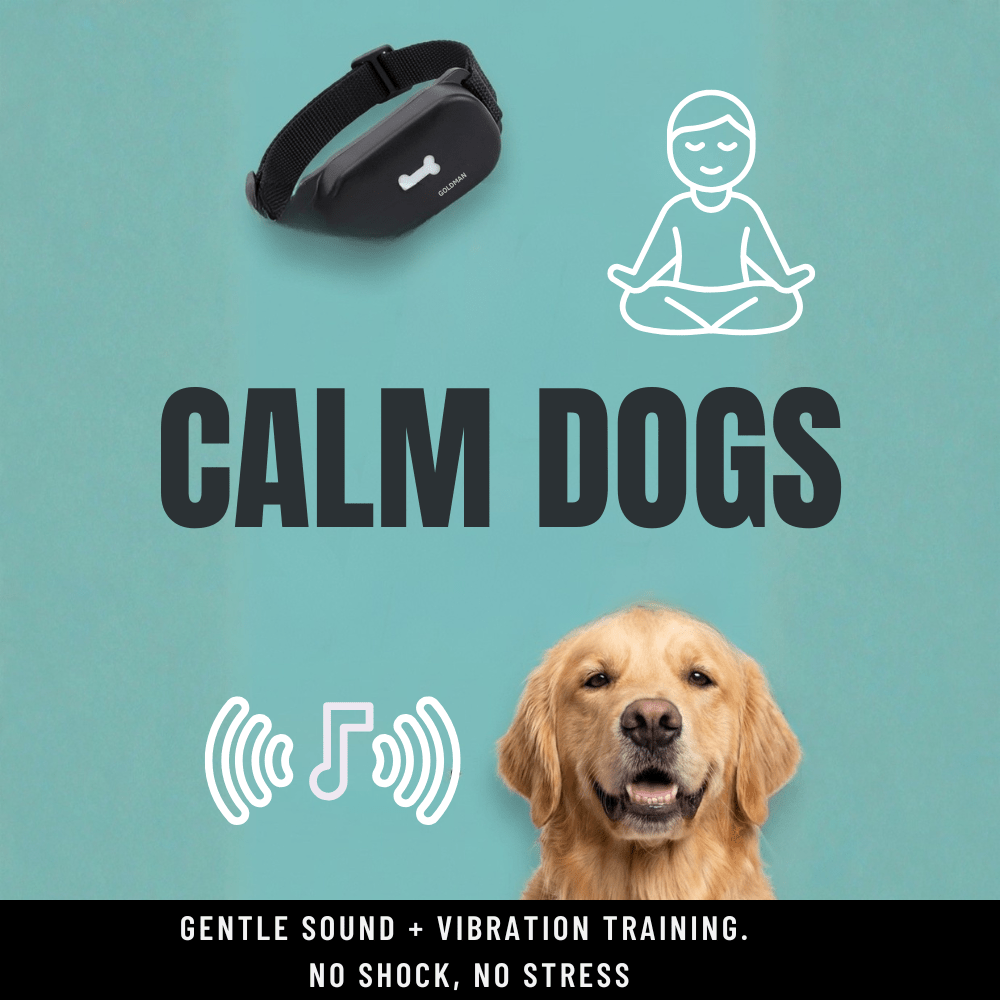 Humane No - Shock Bark Training Collar – Sound & Vibration | Large (13–22”) - WFP Store