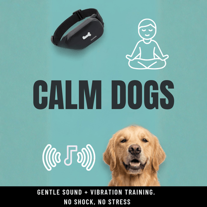 Humane No - Shock Bark Training Collar – Sound & Vibration | Large (13–22”) - WFP Store