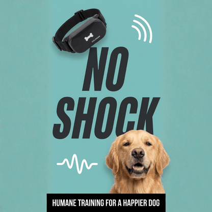 Humane No - Shock Bark Training Collar – Sound & Vibration | Large (13–22”) - WFP Store