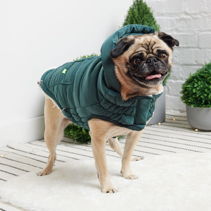 The Puff Parka - Teal - WFP Store