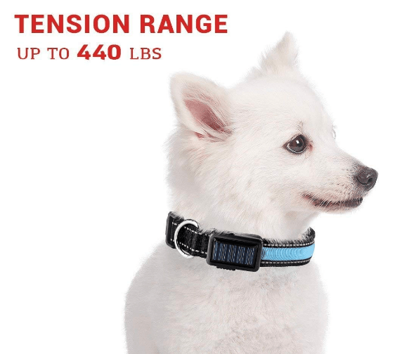 USB and Solar Charge Reflective Led Dog Collar - WFP Store