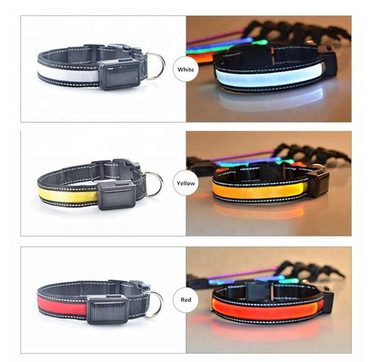 USB and Solar Charge Reflective Led Dog Collar - WFP Store