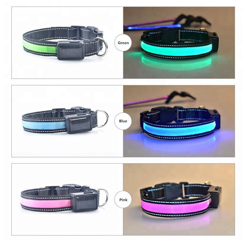USB and Solar Charge Reflective Led Dog Collar - WFP Store